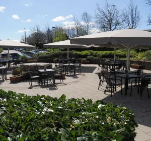 Corporate Summer Party Package