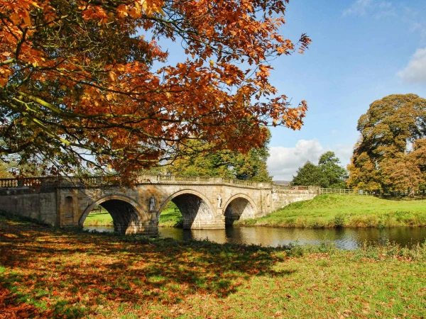 Autumn in Plymouth