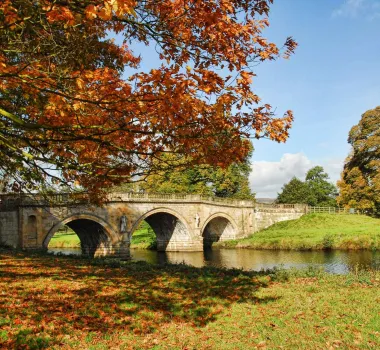 Autumn in Plymouth