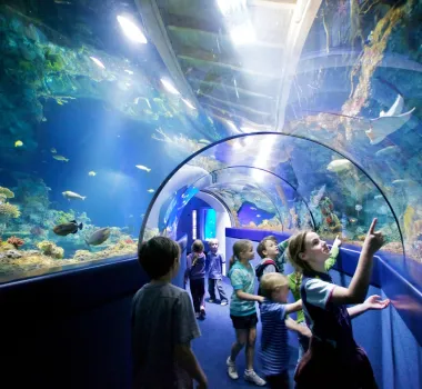 Bristol Aquarium