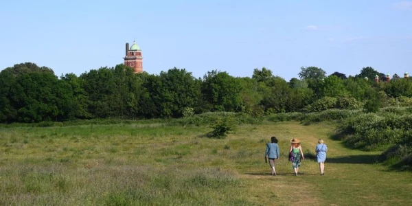 cardiff_northern_meadows_0_wns_010620_07jpg.jpg