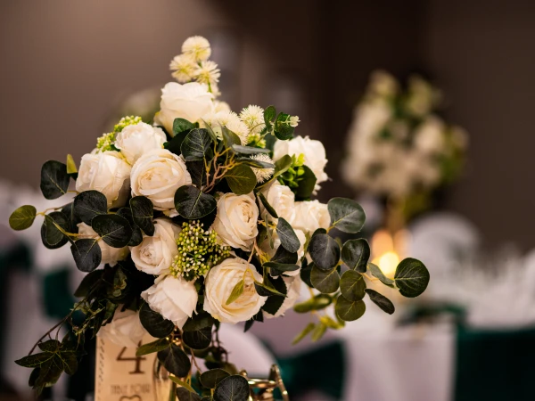 Weekday Weddings Bristol 