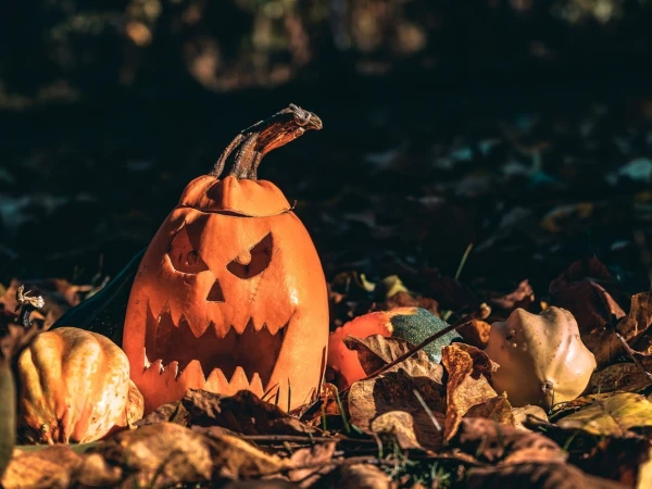 Spooky Events in Cardiff this Halloween