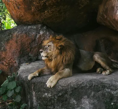 Dartmoor Zoo